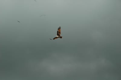 DSC_6945.JPG