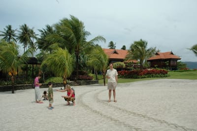 DSC_6974.JPG