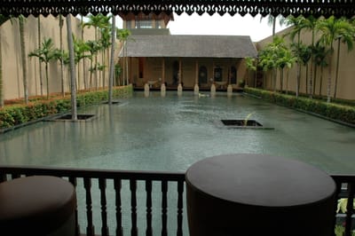 DSC_6980.JPG