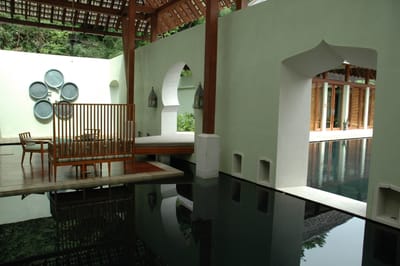 DSC_6991.JPG