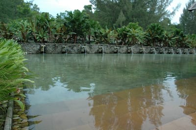DSC_7009.JPG