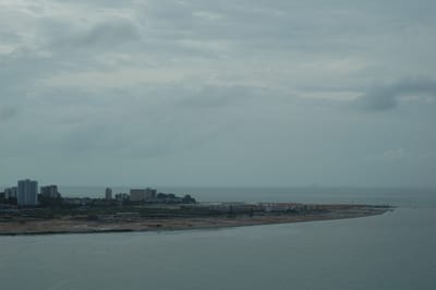 DSC_7142.JPG