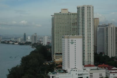 DSC_7149.JPG