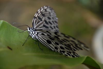 DSC_0063.JPG