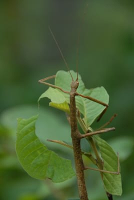 DSC_0069.JPG