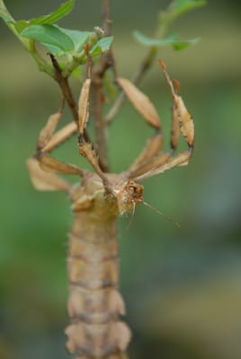 DSC_0070.JPG