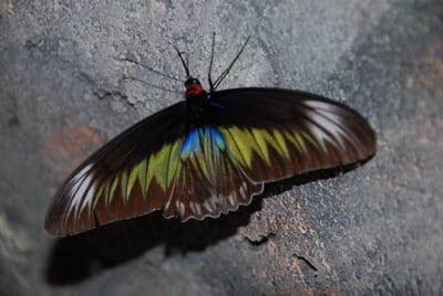 DSC_0072.JPG