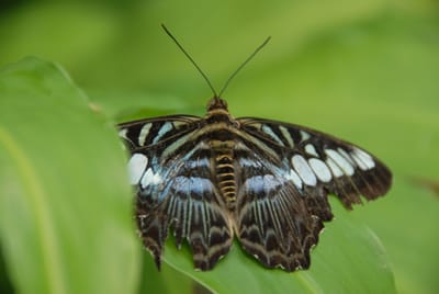 DSC_0074.JPG