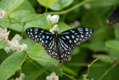 DSC_0094.JPG