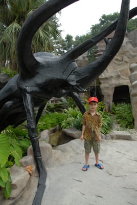 DSC_0103.JPG