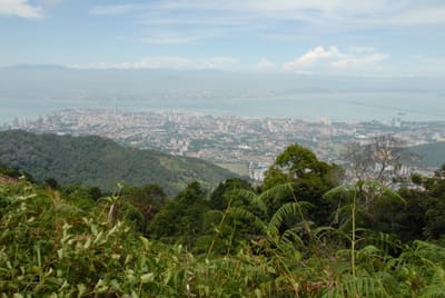 DSC_0037.JPG