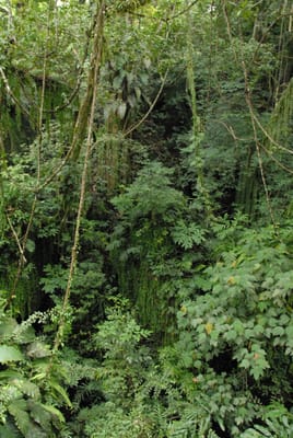 DSC_0089.JPG
