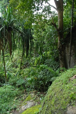 DSC_0090.JPG