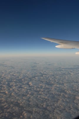 DSC_0215.JPG