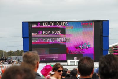DSC_2267.JPG