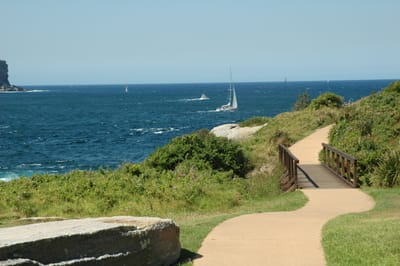 DSC_5959.JPG