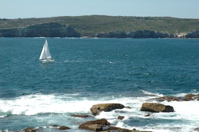 DSC_5961.JPG