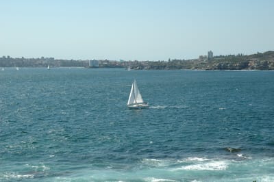 DSC_5964.JPG