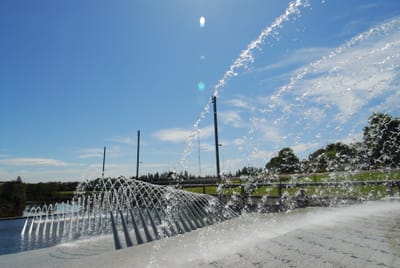 DSC_1820.JPG