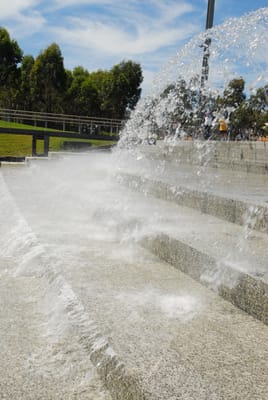DSC_1826.JPG