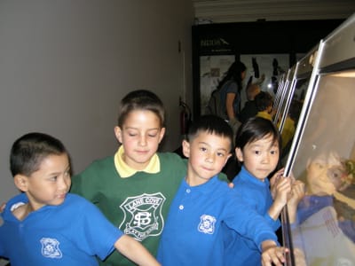 DSCN0003.JPG