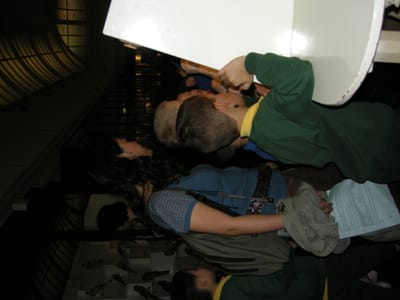 DSCN0005.JPG