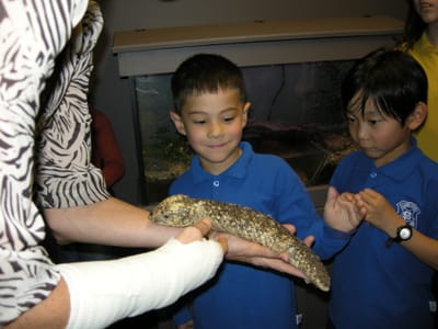 DSCN0010.JPG