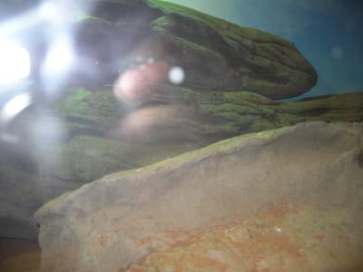 DSCN0012.JPG