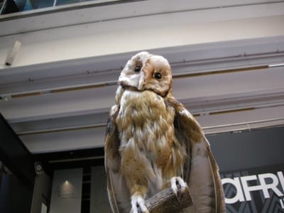 DSCN0026.JPG