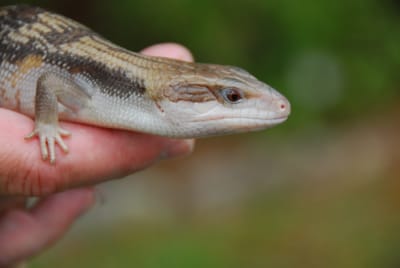 DSC_6965.JPG