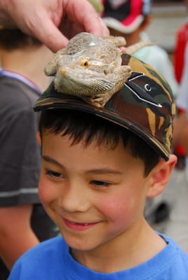 DSC_6992.JPG