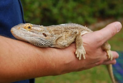 DSC_6997.JPG