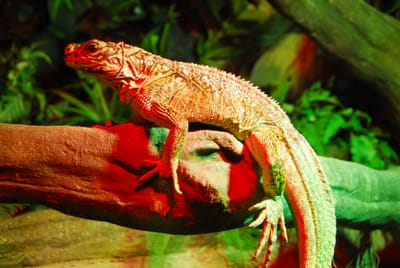 DSC_4792.JPG