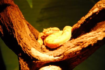 DSC_4803.JPG