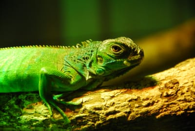 DSC_4804.JPG
