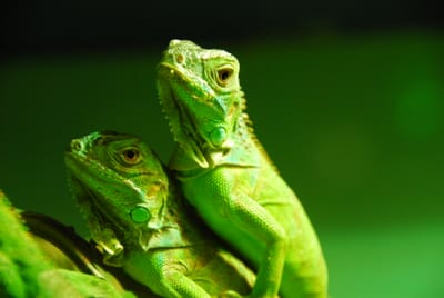 DSC_4813.JPG