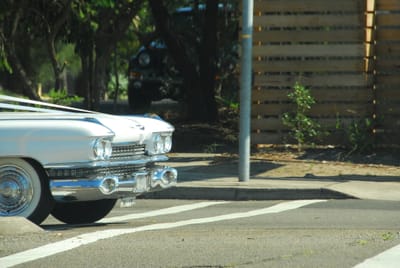 DSC_3195.JPG