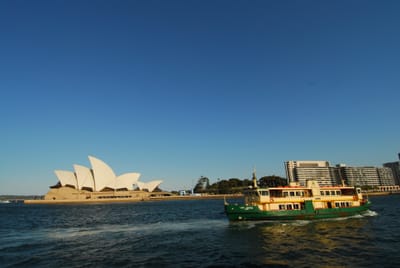 DSC_3203.JPG