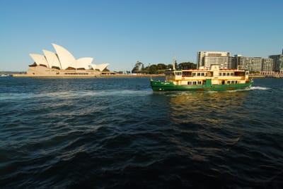DSC_3204.JPG
