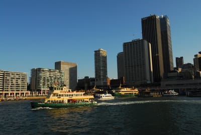 DSC_3205.JPG