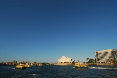DSC_3206.JPG