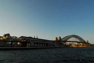 DSC_3219.JPG