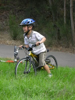 DSCN0344.JPG