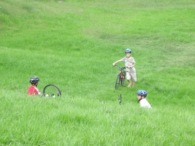 DSCN0350.JPG