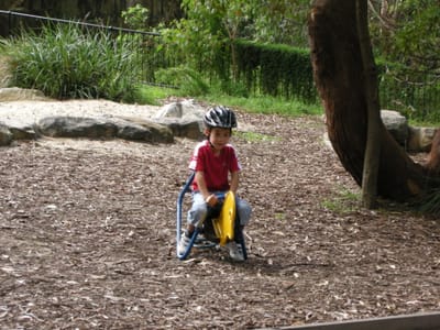 DSCN0361.JPG