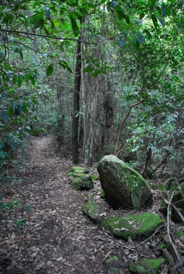 DSC_4234.JPG