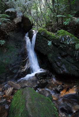 DSC_4247.JPG