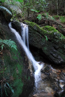 DSC_4248.JPG
