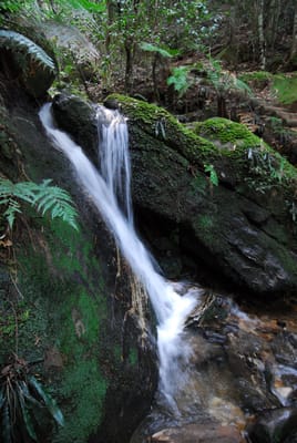 DSC_4249.JPG