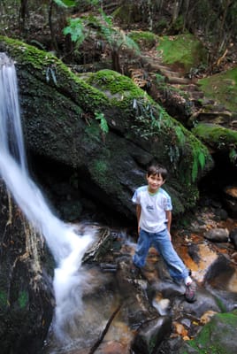 DSC_4253.JPG